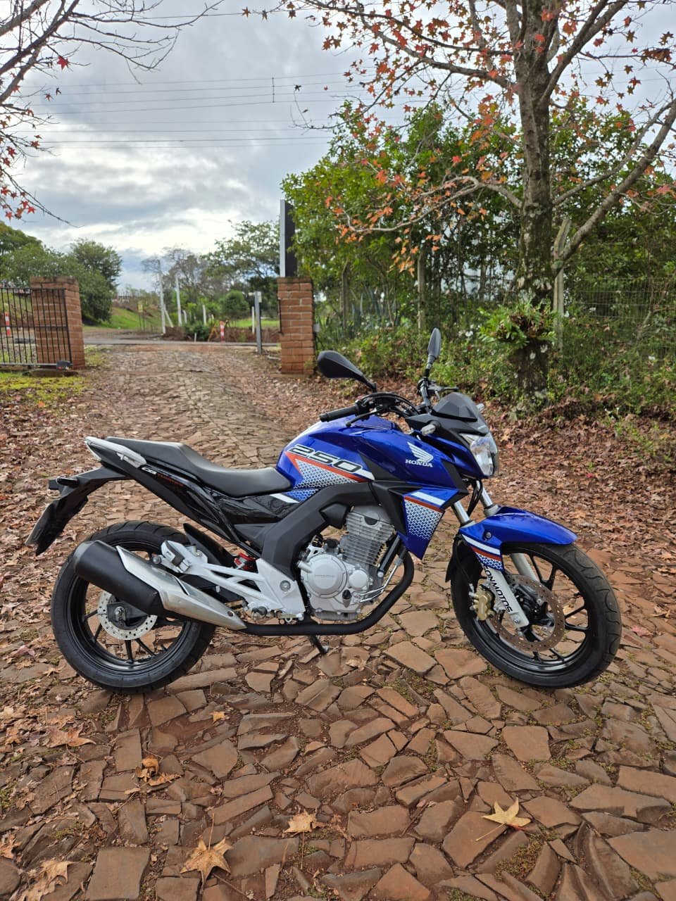 HONDA/CB250F TWISTER CBS ANO 2022 - Imagem 3